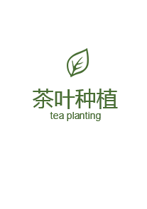 金惠美茶葉種植